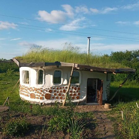 Сказочный Дом Villa Buki  Eksteriør bilde
